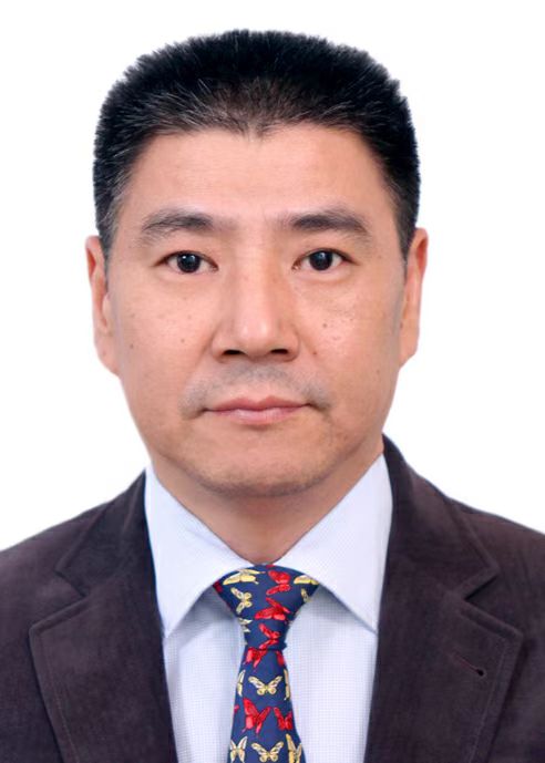 探花视频